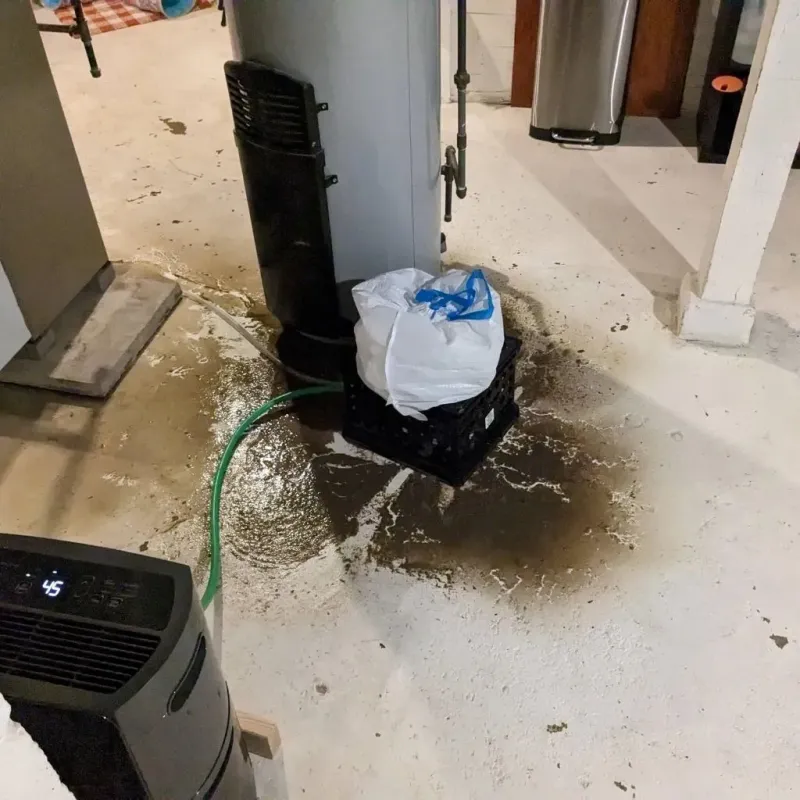 Sewage Backup Cleanup Service in Rodeo, CA